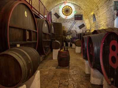 Nella cantina, cuore della tenuta situata a 5 metri di profondit�...